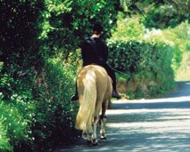Horse riding along the green lanes