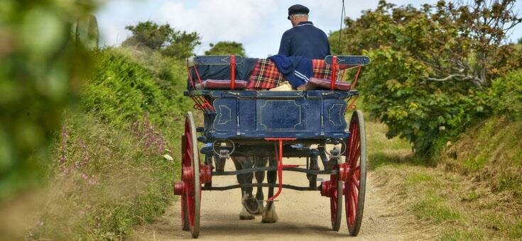 Sark horse and carriage