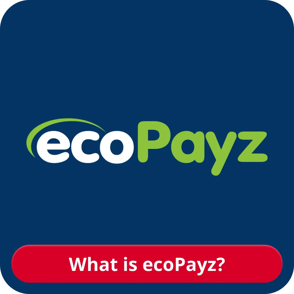 EcoPayz payment