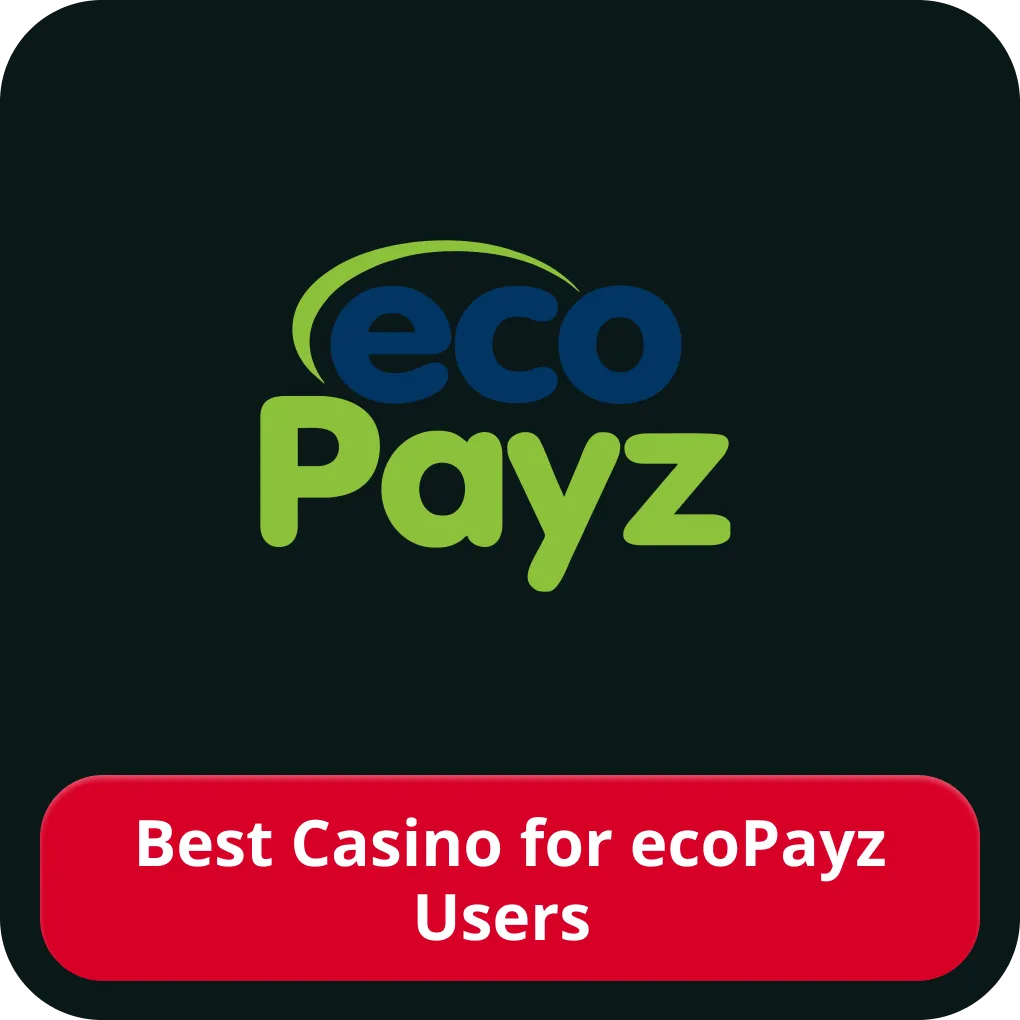 Casinos that accept ecoPayz